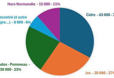 Destination des pommes issues du verger cidricole normand (tonnes).