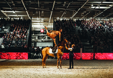 Hassen Bouchakour, Peyo et Chloé Apfel reliée à un fil.