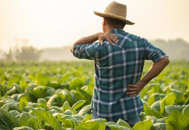 Les troubles musculo-squelettiques (TMS) constituent la première cause des maladies professionnelles reconnues en agriculture.