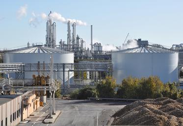 Cristal Union vise l’autonomie énergétique de ses sites en 2050.