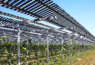 Agrivoltaïsme.