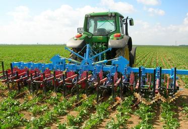 L'intervention chimique complétée par le passage d'outils de désherbage mécanique, herse étrille et bineuse, permet d'arriver à une efficacité tout à fait honorable en situation de graminées résistantes.