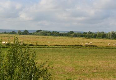 Une étude en cours déterminera le sort de la fertilisation sur les marais de Cressenval et du Hode.