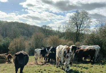 Bale grazing hivernal (14), au 17 février 2026.