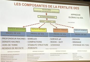 Les quatre niveaux de la fertilité du sol : biologique, chimique, physique et hydrique. L'un ne fonctionne pas sans l'autre, chacun ayant un impact sur les trois autres.