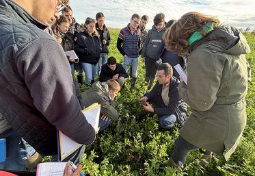 Le titre de TEA est de niveau 4. Il attribue la capacité agricole. Les apprenants deviendront ainsi des chefs d’exploitation, des techniciens de production agricole ou des chefs de culture.