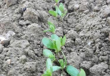 Bien choisir sa parcelle.