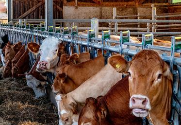 Pour négocier les prix d'égal à égal, l'éleveur doit s'appuyer sur des documents officiels. 