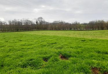 Différentiel de stock sur pied créé par le déprimage d'une parcelle.