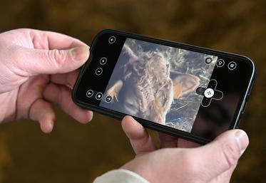 Toutes les commandes sont accessibles sur un téléphone. Le zoom puissant permet notamment de lire le numéro de chaque vache.