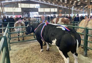 Didier Avenel, éleveur à Écretteville-lès-Baons, avec son mâle super champion blanc bleu et croisement blanc bleu et sa génisse normande au second plan.