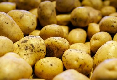 Pour le producteur, le nerf de la guerre est la signature d’un contrat qui le sécurise.