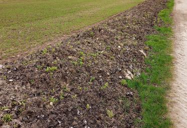Déchets de déterrage.