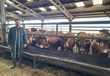 Fort d'une longue expérience professionnelle, Vincent Touzé est naisseur avec 80 vêlages d'hiver en race limousine et engraissement des femelles pour une valorisation en filière Label rouge.
