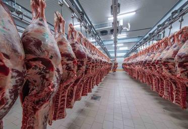 Plus de la moitié du cheptel normand est abattue hors région.