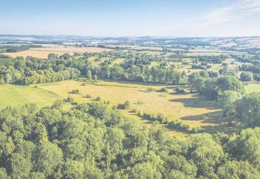 En 2025, le prix des terres agricoles atteint un niveau record, porté par la hausse des grandes cultures malgré le recul de certains secteurs d'élevage.