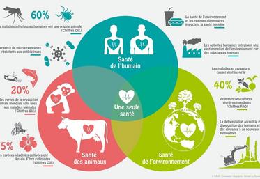 "Une seule santé", une approche qui met en évidence les liens entre humains,  animaux et environnement.