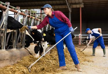 L'accueil de stagiaires et d'apprentis est un levier essentiel pour assurer le renouvellement des générations en agriculture, transmettre les savoir-faire et former les professionnels de demain.