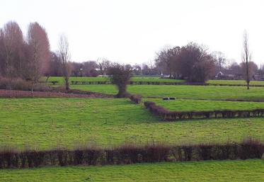 La Chambre d’agriculture de Normandie, le GIEE Adan et la Cuma Haies’nergie & Territoires présenteront les atouts des haies bocagères.
