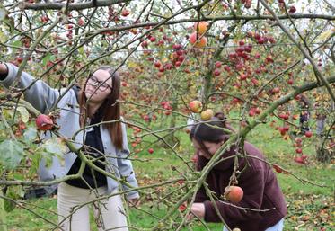 Depuis sa création, Solaal Normandie a enregistré 99 donateurs, dont vingt nouveaux rien qu'en 2025. C'est l'équivalent de 290 000 repas distribués par les associations d'aide alimentaire et 208 dons organisés par Solaal.