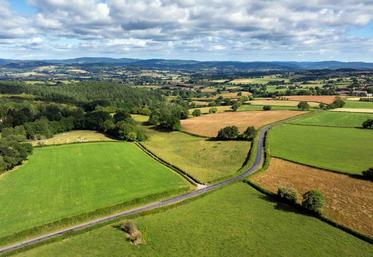 Après une année noire en 2024, l'agriculture française retrouve des couleurs en 2025, malgré des disparités persistantes.