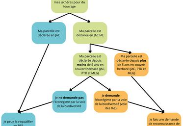 Logigramme des procédures possibles pour la valorisation des jachères pour l'été 2026.