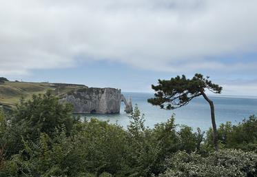 Étretat s'apprête à franchir une étape avec son classement "Grand site de France".