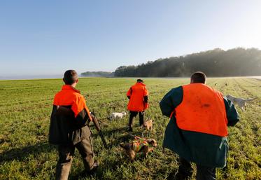 L'ouverture générale de la chasse est fixée au dimanche 20 septembre, à 8 heures. 