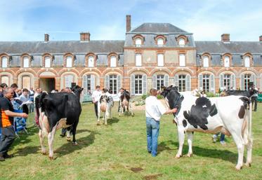 L'élevage fait partie intégrante du Perche eurélien. En 2013, le comice agricole s'est tenu à La Ferté-Vidame. Quoi de plus naturel d'exposer les plus beaux sujets devant le patrimoine du village...