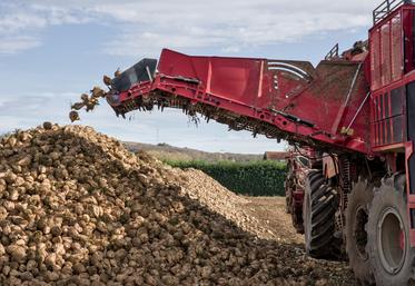 La CGB qualifie de « bonne nouvelle » la validation de l'usage de la flupyradifurone en enrobage de semences. « Cette avancée corrige une distorsion de concurrence avec les 16 autres pays producteurs européens utilisant déjà cette solution ».
