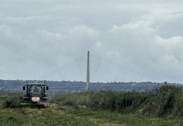 Sur 22 ha de roselière, les opérations de broyage, de fauche et de pose des clôtures préparent la mise en place d'une extension de pâturage extensif dans la réserve naturelle de l'estuaire de la Seine.