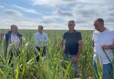 Ludovic Blin, président de la FRSEA lait Normandie, Benoît Gavelle, secrétaire général adjoint de la FNPL ; Philippe Marie, producteur de lait près de Bayeux et Ludovic Baillieul, éleveur laitier à Esson.