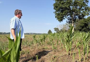 La situation est très compliquée chez Bruno Vassard, qui a perdu plus de la moitié de sa surface de maïs.
