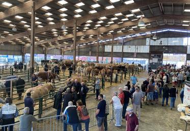 Un public de connaisseurs est venu en nombre sous la halle aux bestiaux.