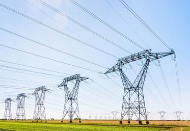 L'accord signé prévoit le versement d'une somme de 1 000 euros par an, et par équivalent pylône pour les lignes 400 kV et de 375 euros par an pour les lignes 225 kV.