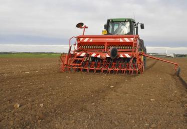 En décalant le semis à la fin octobre ou à début novembre, il est possible de réduire la pression graminée de 50 à 80 % environ selon les conditions.