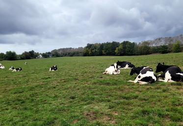 Une offre mondiale de lait toujours soutenue, mais une production française mise à l'épreuve par les aléas climatiques.