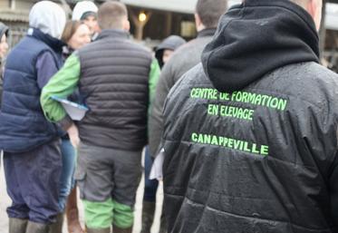 Les établissements agricoles normands ne constatent ni blocages, ni dégradations.