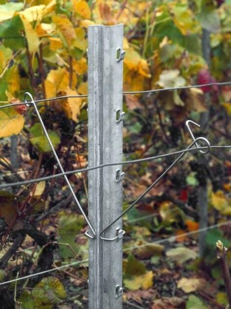 Fil inox pour le palissage de la vigne en viticulture