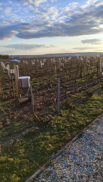 Cette chaufferette à bois protège la vigne du gel sans chauffer le