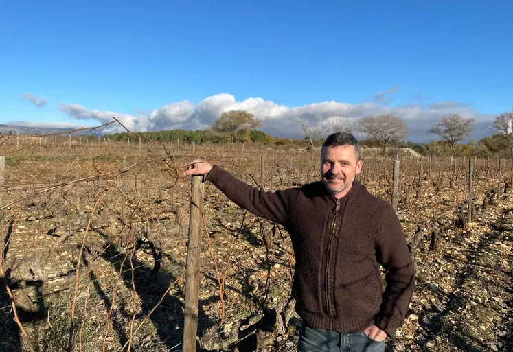 Laurent Rogier, vigneron du Domaine du Pastre, à Caromb dans le Vaucluse, a commandité une étude sur ses coûts de revient en 2017.