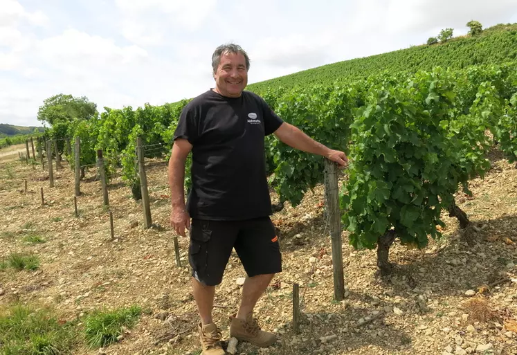 Jean-Paul Labaille, vigneron du domaine Thomas-Labaille, s'est résolu à effectuer le contrôle stratégique phytosanitaire. Il devra le renouveler dans deux à trois ans.