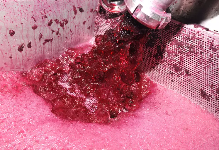 Remontage au Château La Louvière à Pessac Léognan en Gironde. Vinification en rouge. Pratiques oenologiques.