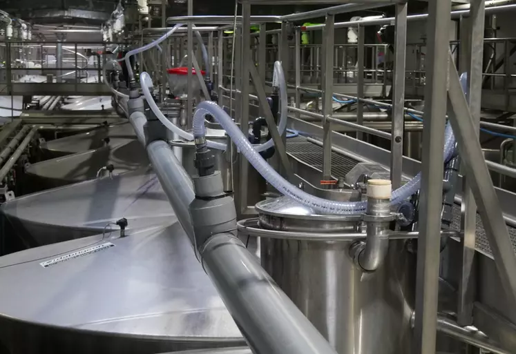 Un simple tuyau branché sur la cheminée de la cuve permet de récupérer le CO2 pendant les fermentations par voie passive.