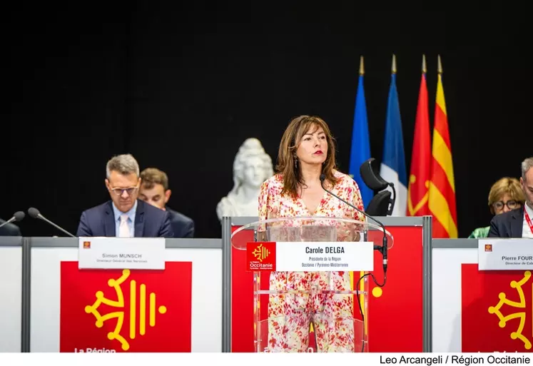 Assemblée Plenière juillet 2024, Montpellier (34)