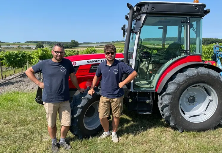 <em class="placeholder">Tracteur spécialisé fruitier Massey Ferguson MF3 MF3FR.105 dans les vignes avec Jules Marie et Christopher Massé</em>