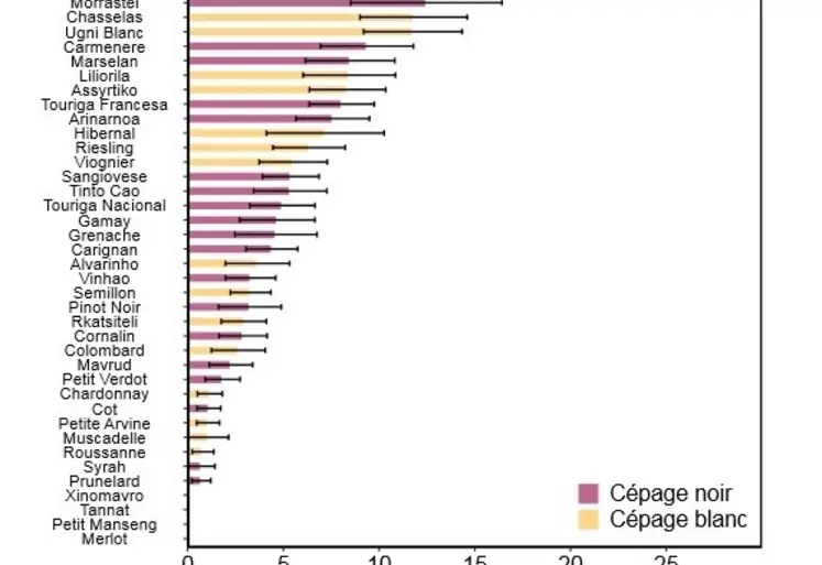 <em class="placeholder">Graphique sensibilité cépages esca</em>