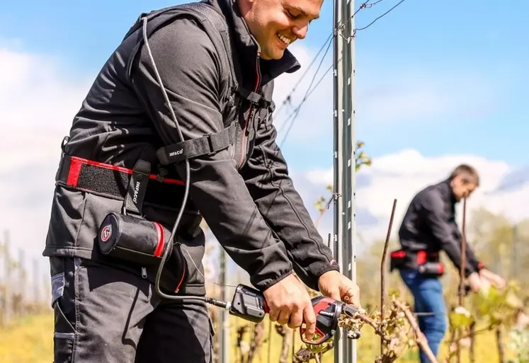 <em class="placeholder">Attacheur filaire Infaco AT1000 à la vigne</em>
