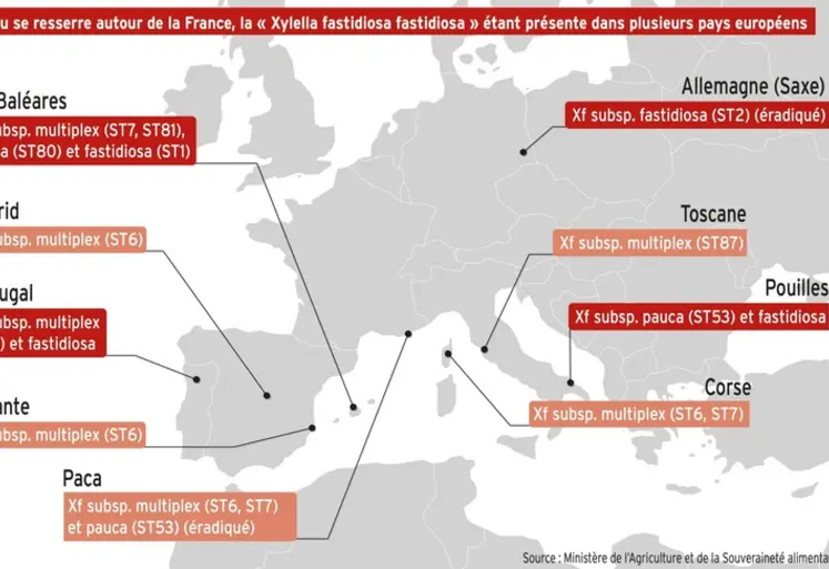 <em class="placeholder">Carte d&#039;Europe avec les populations de Xylella fastidiosa.</em>