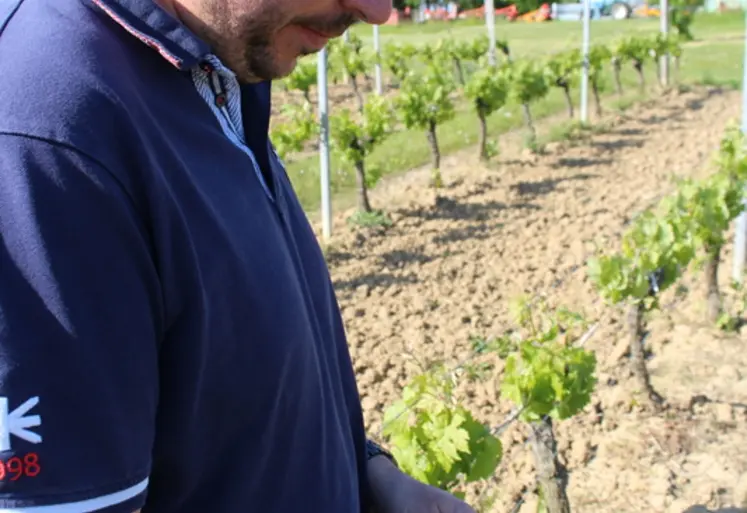 <em class="placeholder">Viticulteur sur son smartphone dans les vignes.</em>